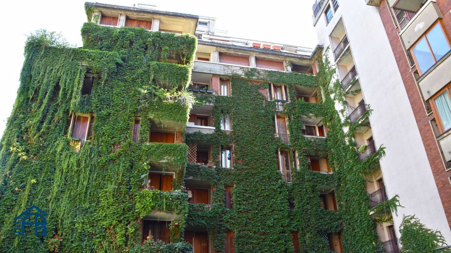 Ampio Bilocale zona Città Studi