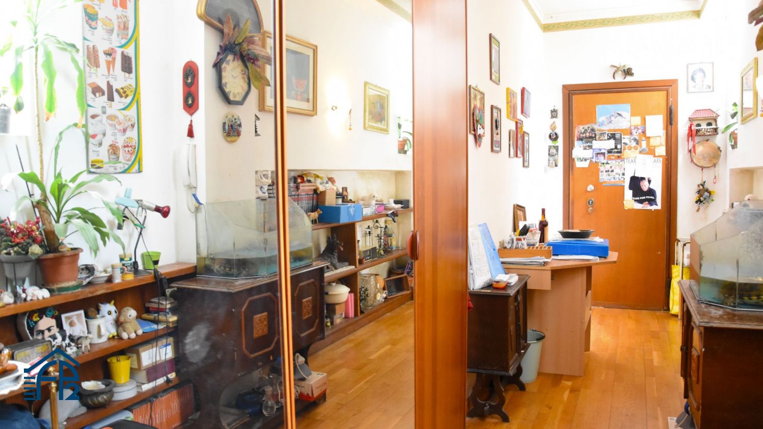 Ampio Bilocale zona Città Studi
